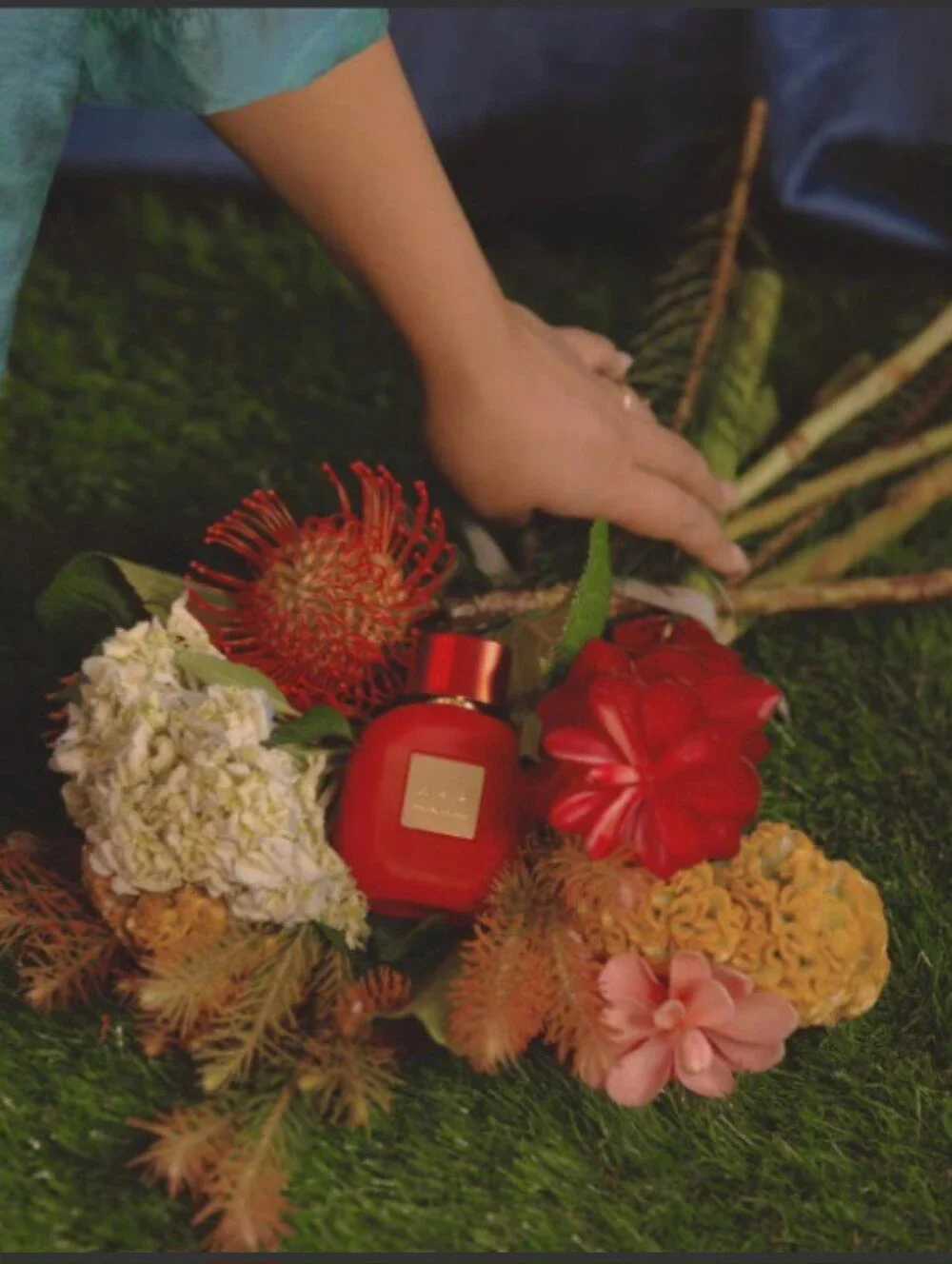 HUE BY HAYLEY KIYOKO Hue EDP